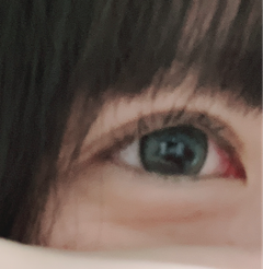 レビュー写真
