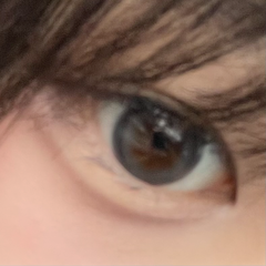 レビュー写真