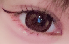 レビュー写真