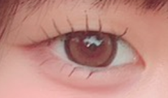 レビュー写真