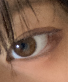 レビュー写真
