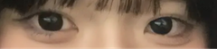 レビュー写真