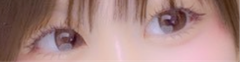 レビュー写真