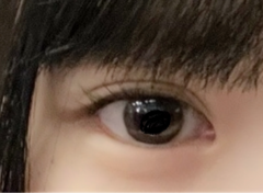 レビュー写真
