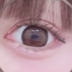 レビュー写真