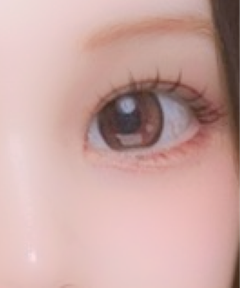 レビュー写真