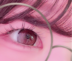 レビュー写真