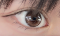 レビュー写真