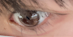 レビュー写真