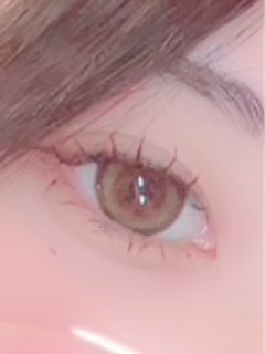 レビュー写真