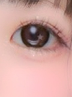 レビュー写真