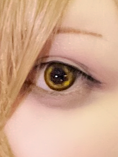 レビュー写真