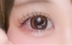 レビュー写真