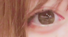 レビュー写真