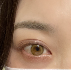 レビュー写真