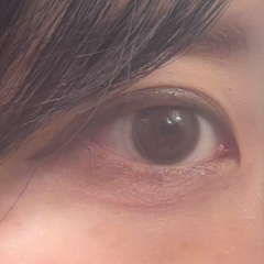 レビュー写真