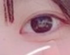 レビュー写真
