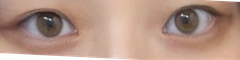 レビュー写真