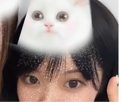 レビュー写真