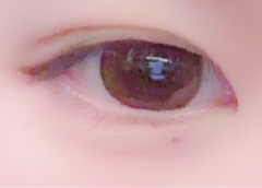 レビュー写真