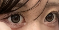 レビュー写真
