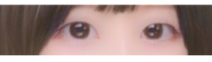 レビュー写真