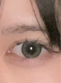 レビュー写真