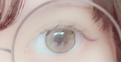 レビュー写真