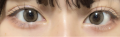 レビュー写真