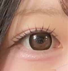 レビュー写真