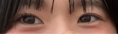 レビュー写真