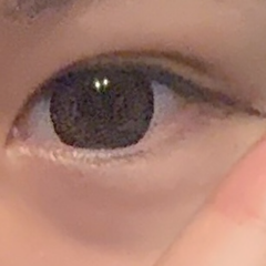 レビュー写真