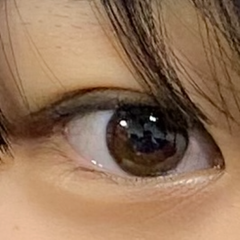レビュー写真