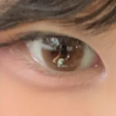 レビュー写真
