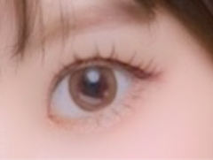 レビュー写真