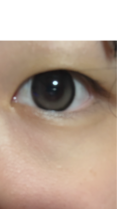 レビュー写真