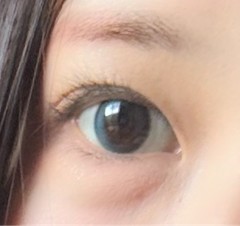 レビュー写真