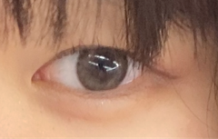 レビュー写真