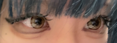 レビュー写真