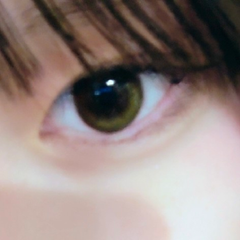 レビュー写真