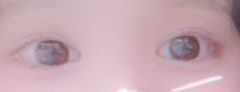 レビュー写真
