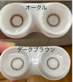 レビュー写真