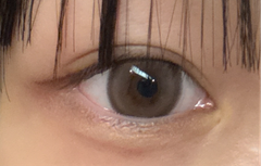 レビュー写真