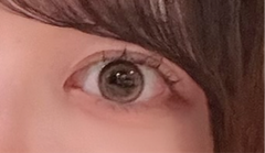 レビュー写真