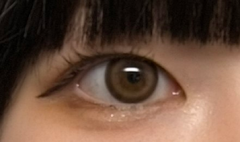 レビュー写真