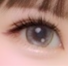 レビュー写真