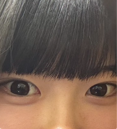 レビュー写真