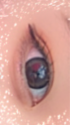 レビュー写真