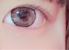 レビュー写真