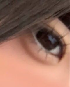レビュー写真